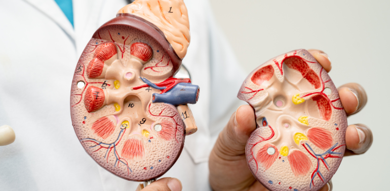 Diabetic Kidney Disease Service